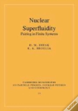 Capa do artigo Nuclear Superfluidity