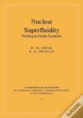 Nuclear Superfluidity