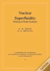 Capa do artigo Nuclear Superfluidity