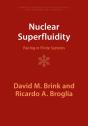 Nuclear Superfluidity - Preview