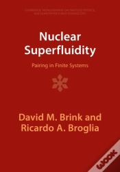 Capa do artigo Nuclear Superfluidity
