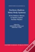Nucleon-Hadron Many Body Systems