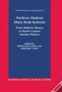 Capa do artigo Nucleon-Hadron Many Body Systems