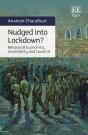 Nudged Into Lockdown? - Preview
