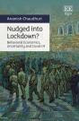 Nudged Into Lockdown? - Preview
