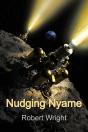 Nudging Nyame - Preview