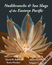 Nudibranchs & Sea Slugs Of The Eastern Pacific