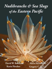 Capa do artigo Nudibranchs & Sea Slugs Of The Eastern Pacific