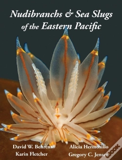 Capa do artigo Nudibranchs & Sea Slugs Of The Eastern Pacific