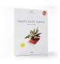 Nuestra Cocina Regional - Preview