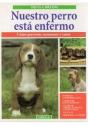 Nuestro Perro Esta Enfermo - Preview