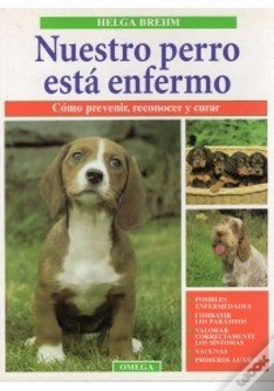 Capa do artigo Nuestro Perro Esta Enfermo