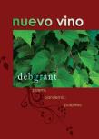 Nuevo Vino