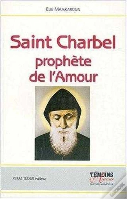 Capa do artigo Nuit De Lumière