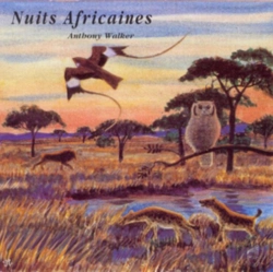 Capa do artigo Nuits Africaines - CD