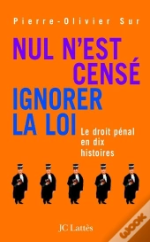 Nul N'Est Censé Ignorer La Loi ; Le Droit Pénal En Dix Histoires