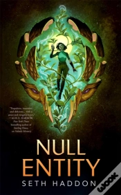 Capa do artigo Null Entity