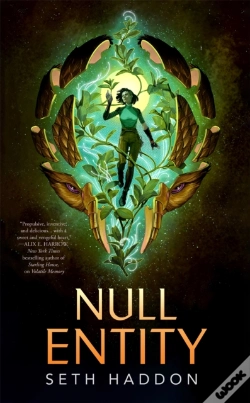 Capa do artigo Null Entity