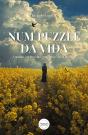 Num Puzzle da Vida - Preview