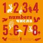 Numbers - Preview