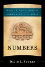 Numbers (Brazos Theological Commentary On The Bible) - Preview