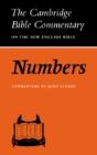 Numbers - Preview