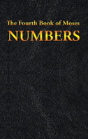 Numbers - Preview