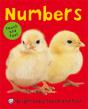 Numbers - Preview