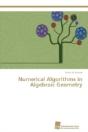 Numerical Algorithms In Algebraic Geometry - Preview