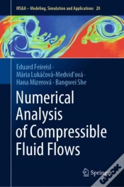 Capa do artigo Numerical Analysis Of Compressible Fluid Flows