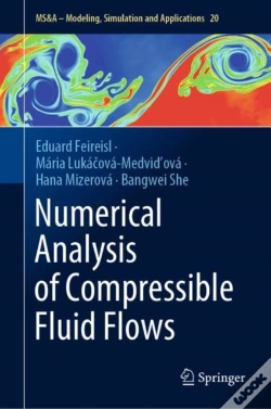 Capa do artigo Numerical Analysis Of Compressible Fluid Flows