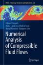 Numerical Analysis Of Compressible Fluid Flows - Preview