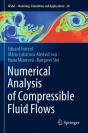 Numerical Analysis Of Compressible Fluid Flows - Preview