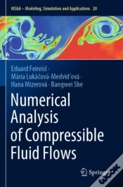 Capa do artigo Numerical Analysis Of Compressible Fluid Flows