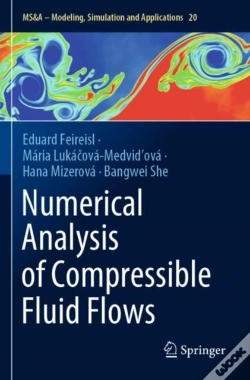 Capa do artigo Numerical Analysis Of Compressible Fluid Flows