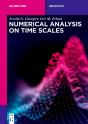 Numerical Analysis On Time Scales - Preview