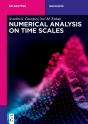 Numerical Analysis On Time Scales - Preview