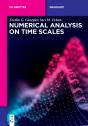 Numerical Analysis On Time Scales - Preview