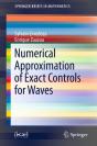 Numerical Approximation Of Exact Controls For Waves - Preview
