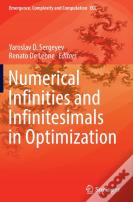 Numerical Infinities And Infinitesimals In Optimization
