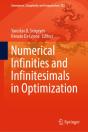 Numerical Infinities And Infinitesimals In Optimization - Preview