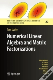Capa do artigo Numerical Linear Algebra And Matrix Factorizations