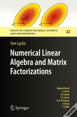 Capa do artigo Numerical Linear Algebra And Matrix Factorizations