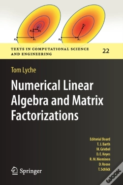 Capa do artigo Numerical Linear Algebra And Matrix Factorizations