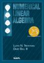 Numerical Linear Algebra - Preview
