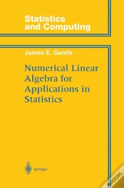 Capa do artigo Numerical Linear Algebra For Applications In Statistics