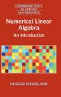 Numerical Linear Algebra - Preview