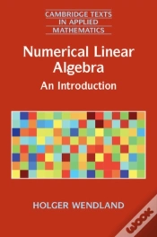 Capa do artigo Numerical Linear Algebra