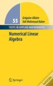 Capa do artigo Numerical Linear Algebra