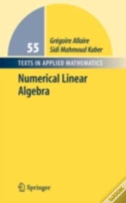 Capa do artigo Numerical Linear Algebra